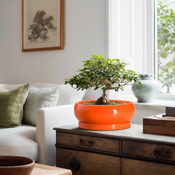 Bonsai Tree Pots - 10 Inch Ceramic Pots for Succulent Indoor Outdoor, Bonsai Pot with Drainage Hole and Tray, Round Planter Bowl, Shallow Planter, Home Decor, Housewarming Gift, Orange