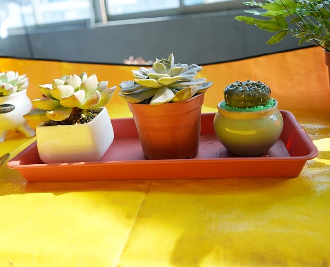 VUWEZ 2 Pack Plastic Plant Saucer, Rectangular, Indoors Outdoor, Water Drip Tray for Flower Pot, Windowsill (6.5 X 13 Inch, Black)