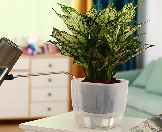 3-Pack Clear Self Watering Planters for Indoor Plants 7" Large African Violet Plant Pots Plastic Wick Flower Pots with Water Injection Hole, Orchid Plant Pot Set, Clear