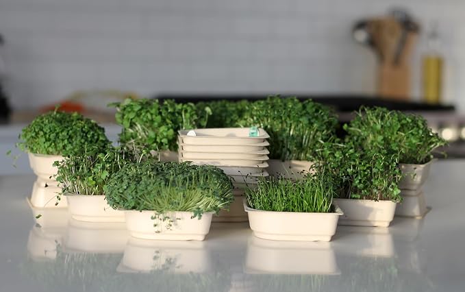 Indoor Garden, Fully Automated LED Growing Unit for Microgreens, Herbs, Leafy Greens, Organic Soil-Based, Low/No Maintenance, Easy, Standalone Unit, Designed & Assembled in The USA