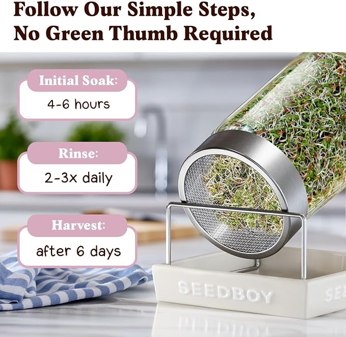 Seedboy Organic Non-GMO Clover Seeds for Sprouting - USA Grown Microgreens Sprouting Seeds - 8 oz Bag Makes 8 Quarts / 32 Servings (Red Clover)
