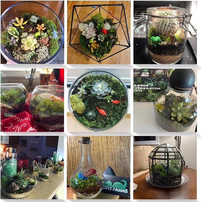 Cute Farms Terrarium Starter Kit | Moss, Vermiculite, Soil, Pebbles, Plant Food, Finishing Tools, Build and Care Guide | DIY Succulent Terrarium for Adults and Kids (Large)