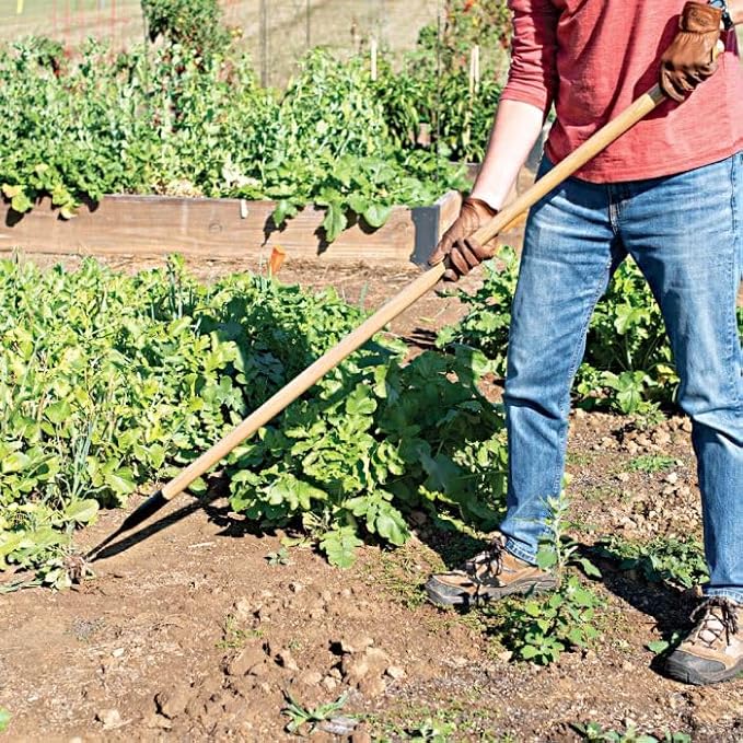 A.M. Leonard Cape Cod Weeders (60-Inch Hardwood Handle)