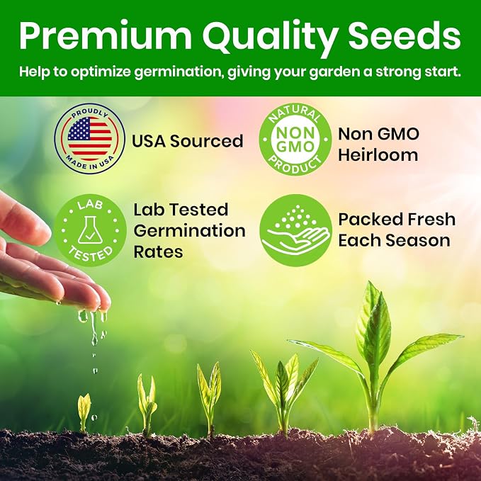 NatureZ Edge Wildflower Seeds Mix – 1/4 lb, 170,000 Seeds, 35 Variety Perennial & Annual Flower Seeds to Plant Outside, Bulk Wildflower Seeds, Wild Flower, Semillas de Flores