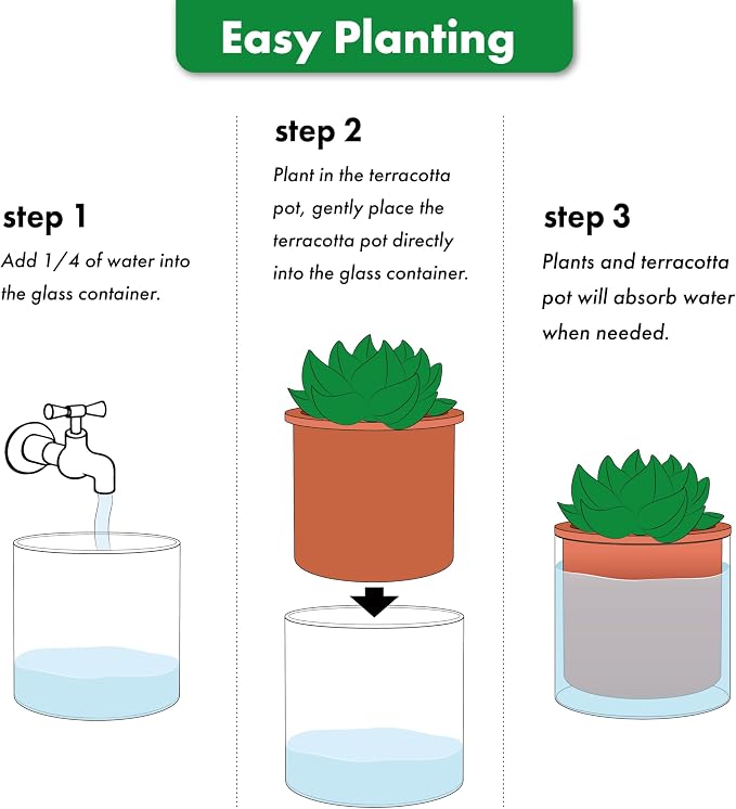 Phoenix Vine 4 Inch 6 Inch Self Watering Plants Pots, Design Terracotta Pots for Plants, Indoor Cylinder Terra Cotta Planter with Glass Vase Set, 51-A-G-46