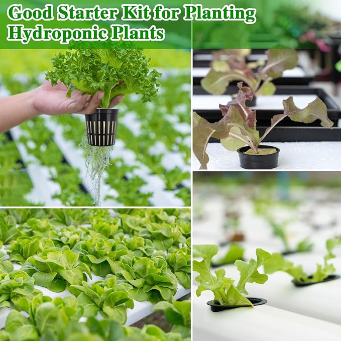 Halatool 144PCS 1.2-Inch Rockwool Cubes with 120PCS 2-Inch Net Cups for Hydroponics Great Hydroponic Kit for Cuttings Clone Plant Propagation Seed Starting & Soilless Cultivation