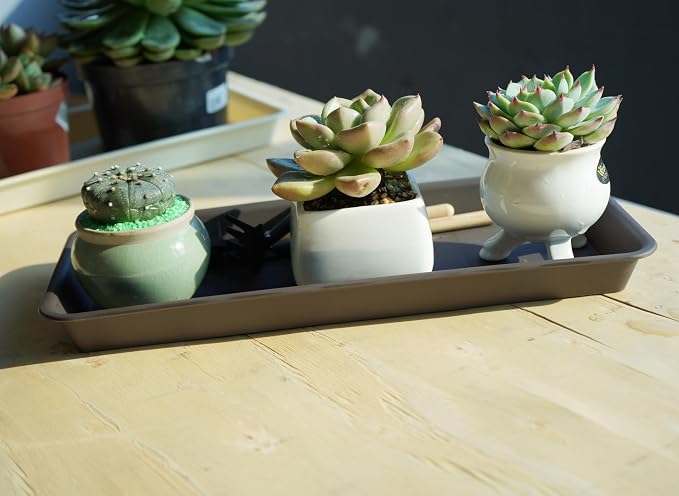 VUWEZ 6 Pack of Plastic Plant Tray Saucer Rectangular 14 inch, Plant Trays Saucers for Indoors Outdoor, Plant Water Drip Tray for Flower Pot Planter, Windowsill Plant Tray (6.8 X 14.5'', Brown)