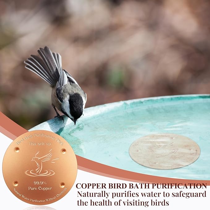 MorningRo 8 Pcs 4'' Bird Bath Copper Disk, 0.8mm Thick Reinforced 99.99% Pure Copper Disc birdbath Purification Disc, with 4 Point Support for Outdoor Birdbaths Bowls Cleaner