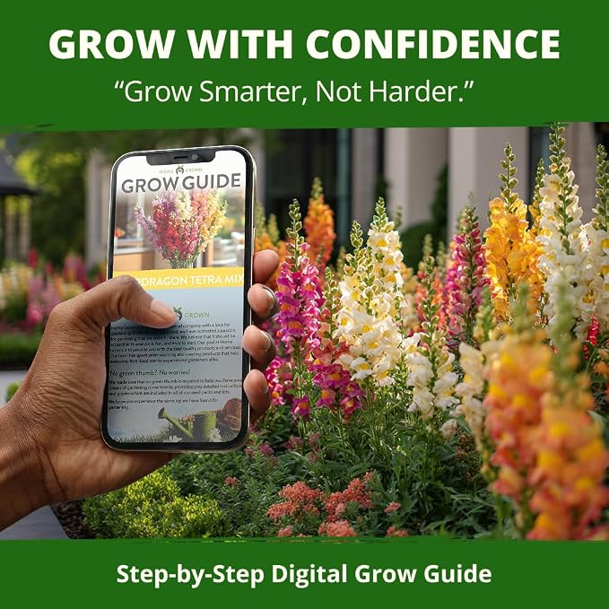 HOME GROWN Snapdragon ‘Tetra’ 7000 Seeds 1.1g Snapdragon Seeds Perennial Tall Flower Seeds to Plant Outside – Vibrant Mixed Colors, Cottage Gardens & Seasonal Bedding Displays (Antirrhinum majus)