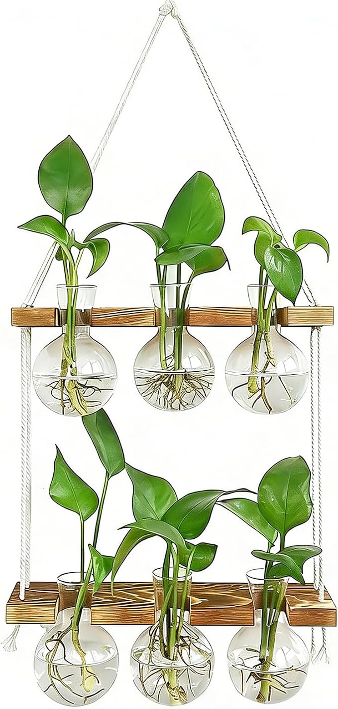 Renmxj Plant Propagation Station Wall Hanging with 2 Tiered Wooden Stand | Plant Terrarium for Hydroponics Plants, Unique Gardening Gifts for Women Mom Plants Lovers - 6 Bulb Glass Vases