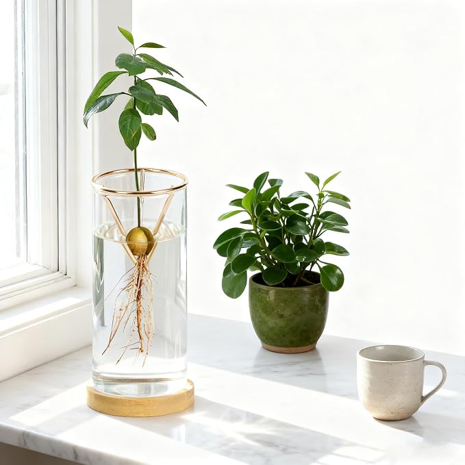 Bylion 2 Pack Avocado Tree Growing Kits - Avocado Growing Vase - Avocado Seed Starter Vase Glass Plant Pot Easy Seed Sprout Starter Gift for Women Gardening Lovers Home Office Table Decoration (Gold)