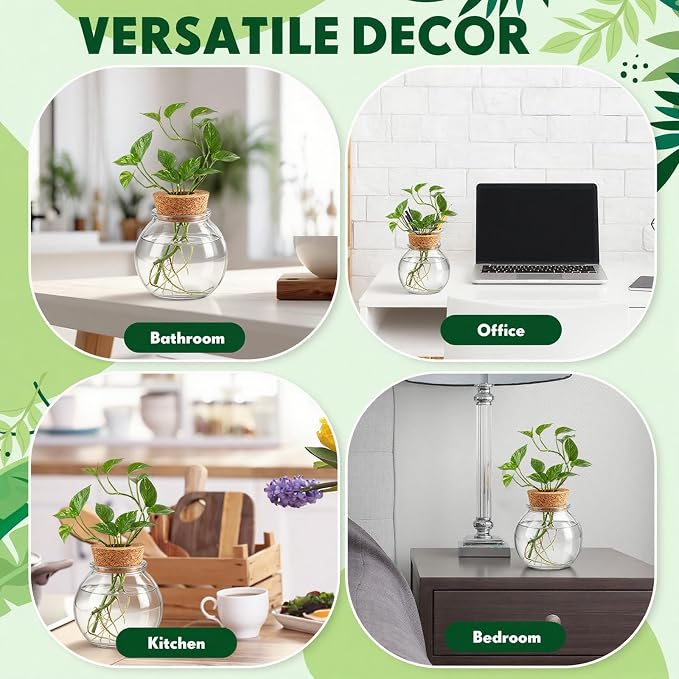 12 Pack Glass Plant Propagation Stations, Hydroponic Vases Tabletop Plant Terrarium Jar for Indoor Flower Arrangements Glass Planter Kitchen Office Decoration Gifts (Spherical)