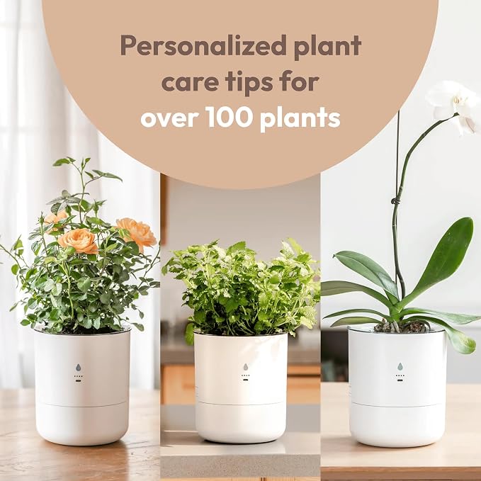 8 Inch Smart Self Watering Planter with WiFi Bridge & App Control – AI Plant Care System with Sensors, Automatic Watering, Alerts – Modern Indoor Planter for Houseplants | Cordless