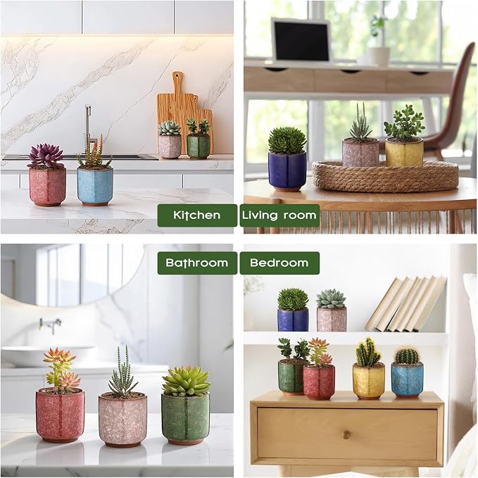 12 Pack 2.36 Inch Small Ceramic Succulent Planter Pot with Drainage Hole, Mini Ice Crack Glaze Flower Pots for Indoor Succulent Planters for Cactus Plant Lover Gifts for Women Mom Coworker