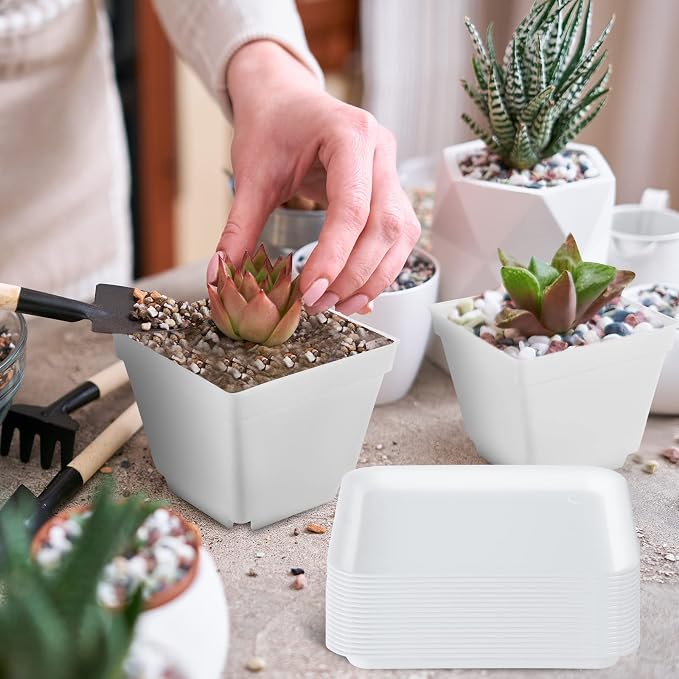 Amyhill 100 Pcs 4 Inch Flower Pots Square Plants Nursery Pot Plastic Plant Seedling Pots Small Nursery Transplanting Planter Container with Saucer for Indoor Succulent Balcony Garden (White)