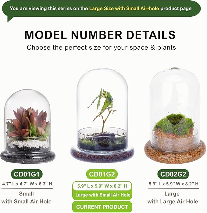 NCYP Glass Cloche Dome with Air Hole and Base, 5.9 x 5.9 x 8.2 Inches, Clear Terrarium Planter for Venus Flytrap, Small Plants, Home Indoor Tabletop Decoration (No Plants)