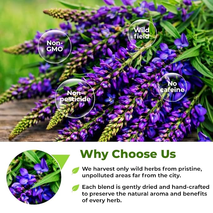 20 Bags Goat’S Rue Goat'S Goats Rue Herb Tea (Galega Officinalis L.) - 20 Count 1.5 g Tea Bags Blood Sugar French Lilac Ruda De Cabra