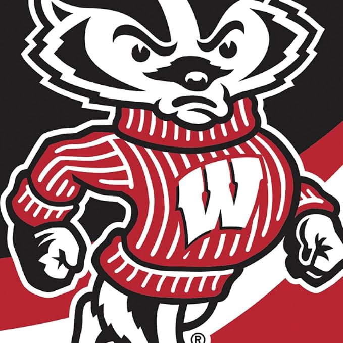 NCAA University of Wisconsin-Madison House Flag, 28 x 44, Double Sided Garden Flags for Outside, Outdoor College Flags & Banners for Gardens Patio, Indoor Wall Decor Flag for Room