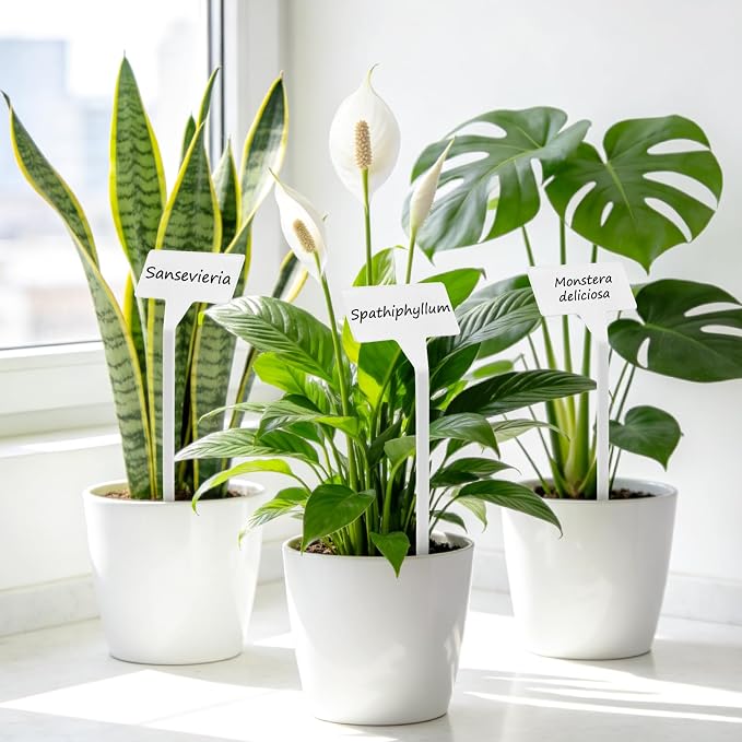 KINGLAKE Outdoor Large Plant Labels with PET Films - 50 Pcs Waterproof Tall Plastic Plant Tags Nursery Garden Labels 11.8" Plants Markers Name Tags for Outdoor Garden Vegetable with Permanent Pen