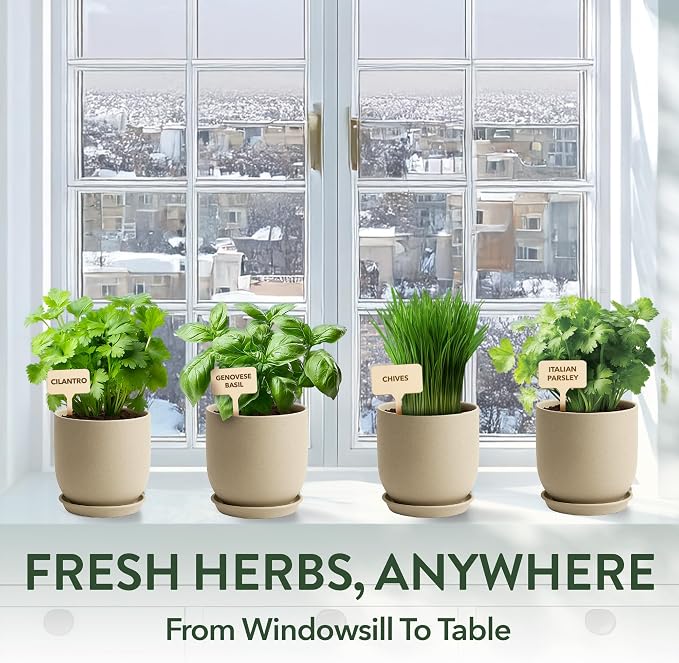 HOME GROWN Indoor Organic Herb Garden Kit, Unique Valentines Day Gift for Adults, Men, & Women,Grow 4 Herb Seeds for Kitchen Window Garden,Beginner DIY Hobby Gardening for Plant Lovers, Mom & Dad