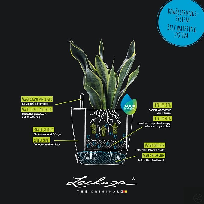 LECHUZA Classico Colour 14 Table Pot White Planter with Watering System, Water Level Indicator and Plant Insert, Matte Surface, Diameter 15 x 13.5 cm, 16696