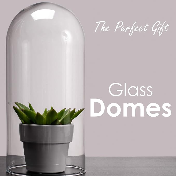 CYS EXCEL Glass Dome Cloche (H:13.75" D:5.75") | Multiple Sizes Decorative Showcase Display for Antique Collectibles | Bell Jar Terrarium & Dessert Cover