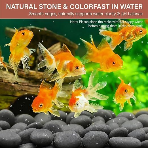 NUPICK 6lb Mexican Beach Pebbles, 2-3" Black River Rocks for Landscaping, Smooth Garden Rocks for Outdoor Paving, Natural Black Pebbles for Plants, Decorative Stones for Planters, Fish Tank, Fountain