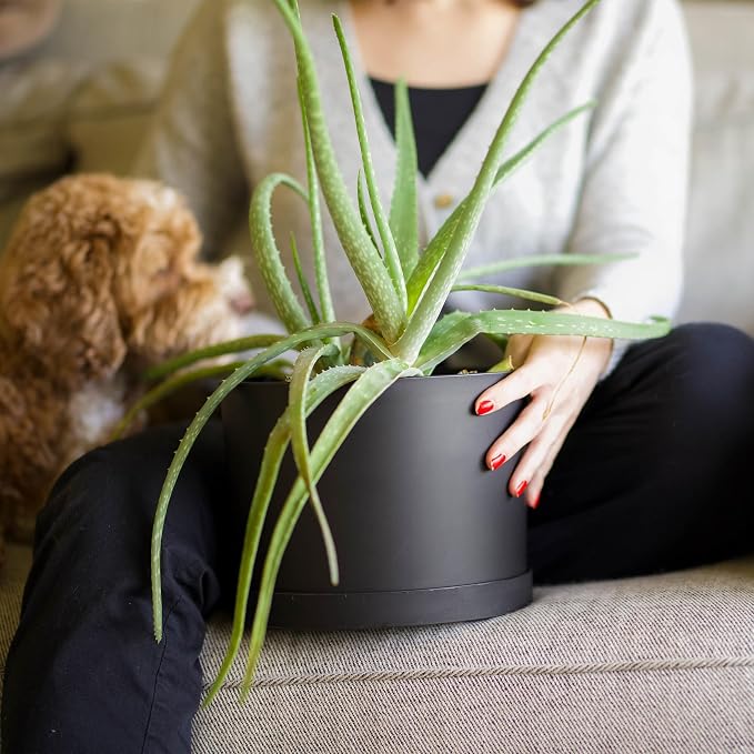 Bloem Mathers Round Planter with Saucer Tray: 6" - Black - Modern Design, Durable Plastic Pot, Removable Saucer, for Indoor & Outdoor Use, Gardening, .67 Gallon Capacity