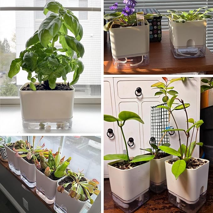 Planterhoma Self Watering Plant Pots for Indoor Plants 5.5 inch, 3 Packs Square Self-Watering Planters with Drainage Hole, White African Violet Pots for Devil's Ivy, Spider Plant, Orchid, Herb