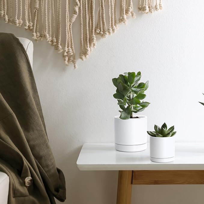 D'vine Dev 3.5 Inch & 4.7 Inch Ceramic Planter Pots for Plants with Drainage Hole and Saucer, X-Small Plant Pots Set, White, 94-G-XS-1