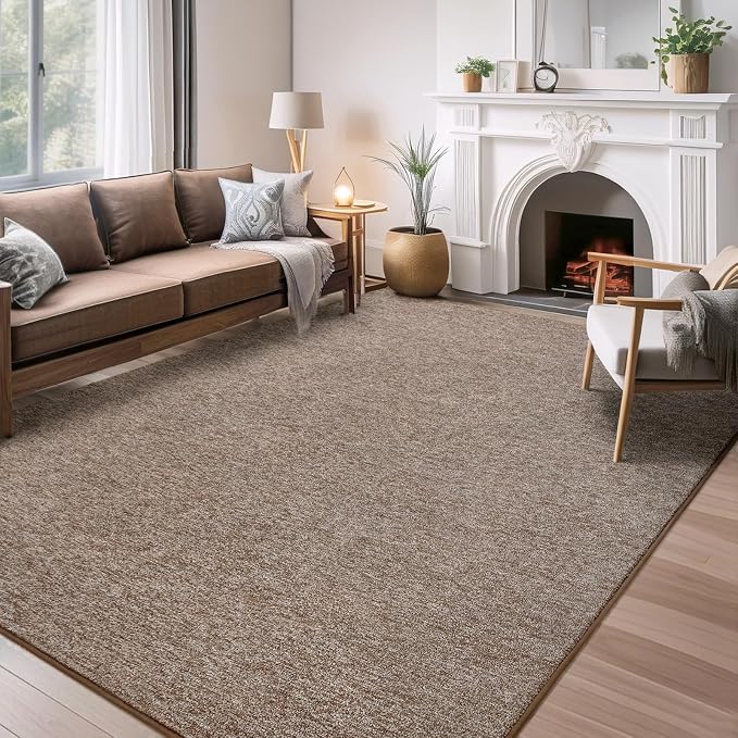 AROGAN 4x6 Area Rugs for Living Room Non Slip Dorm Bedroom Rug, Matte Brown | Modern Area Rugs with Soft Memory Foam, Minimalist Washable Indoor Floor Carpet for Dining Room Office Kids Playroom Decor