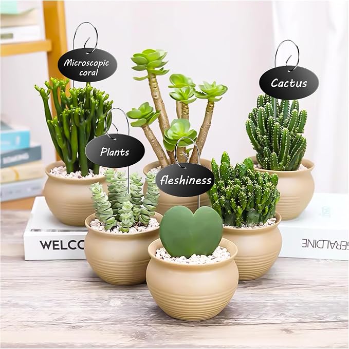 Vcekract Plant Labels, 25 Pcs Acrylic Garden Labels Stakes with Pen, Plant Markers for Outdoor Garden, Plant Tags for Potted Plants, Seed, Flowers