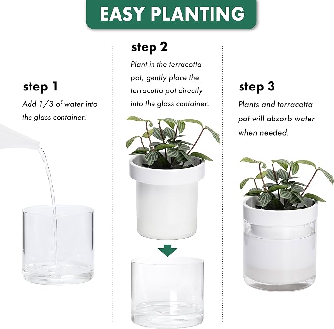 Phoenix Vine 4 Inch Self Watering Planter, White Terracotta Clay Pot with Glass Reservoir for Indoor Plants, Herbs, Flowers, Set of 3, 52-B-E-3