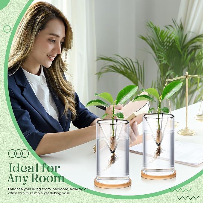 Baderke 6 Pcs Glass Avocado Tree Growing Kit Avocado Seed Starter Vase Planter Including Glass Vases with Wooden Bases and Metal Brackets for Indoor Outdoor Garden Office Decoration