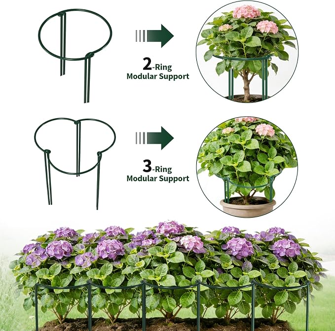 AMAGABELI GARDEN & HOME 12 Pack Peony Cage Plant Support Stakes 10" W x 16" H Heavy Duty Ring Metal Garden Support Structures Plant Cage with Ties for Indoor Flower Outdoor Tomato Hydrangea Monstera