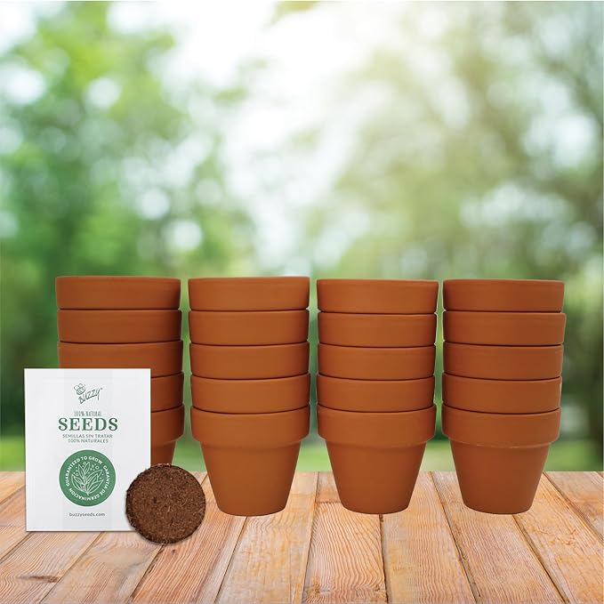 BUZZY Seeds Forget-Me-Not Grow Kit, Bulk 20-Pack - Mini Terracotta Pot Grow Set - Complete Indoor/Outdoor Gardening Kit with Seeds, Coconut Husk Growing Medium & Genuine Pots - 100% Grow Guarantee