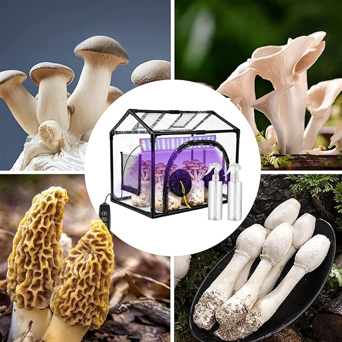 Mushroom Grow Tent Still Air Box for Mycology Mushroom Grow Bags, Clean Air Workstation with Blue White Growing Light, 2 Spray Bottle, Waterproof Mat for Grow Bags, Growers, Home Scientists