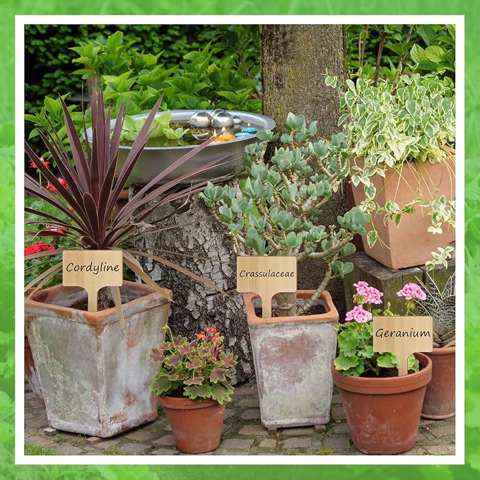 Hicarer 15 Pcs 9.4" x 5" Extra Large Bamboo Garden Labels, Natural Bamboo T-Type Large Plant Markers for Herbs, Flowers & Vegetables – Easy to Read Full-Size Tags for Garden Outdoor