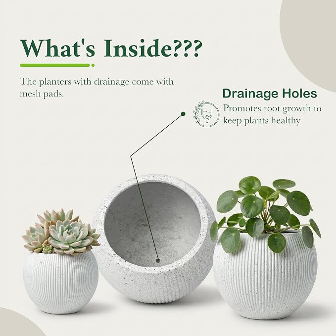 DTY Premium Mt Sherman Fiberstone Sphere Planter for Indoor Outdoor Use, Round Pot for Olive Tree, Lightweight, Smooth Finishes. 2 Coco Mats. Ribbed White, Large 21.1'' D x 16.7'' H. 14.6ā Pot Opening