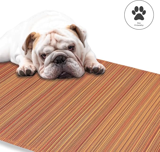Fab Habitat Stripe Coastal Colorful Outdoor Rug - Waterproof, Crease-Free Fade Resistant, Reversible - Recycled Plastic - Patio Porch Balcony Deck Yard Garden - Cancun Terracotta - 8x10 ft