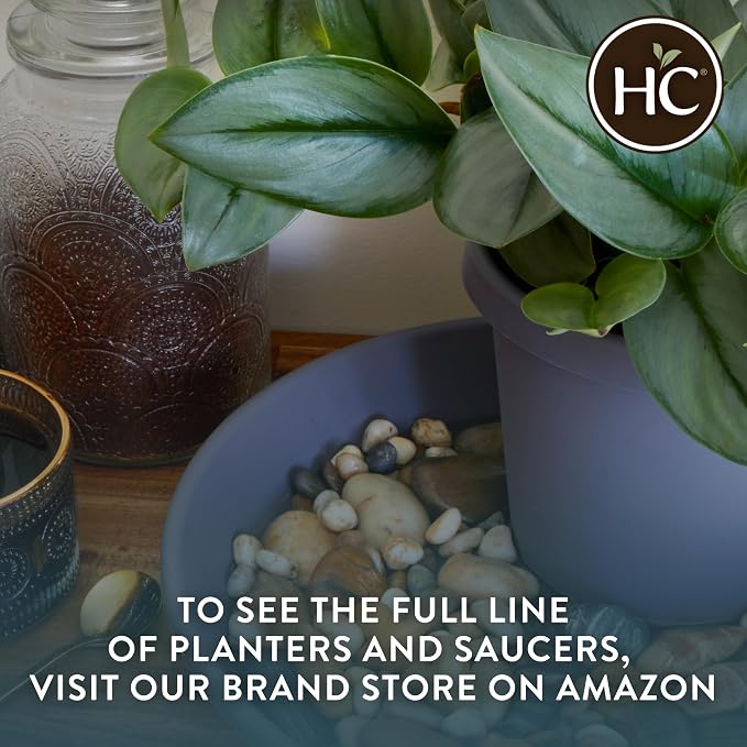 The HC Companies 16 Inch Classic Round Plant Saucer, Lightweight UV-Resistant Plastic Outdoor & Indoor Flower Pot Tray, 2-Pack Plant Pot Trays for Garden & Home Decor, Evergreen