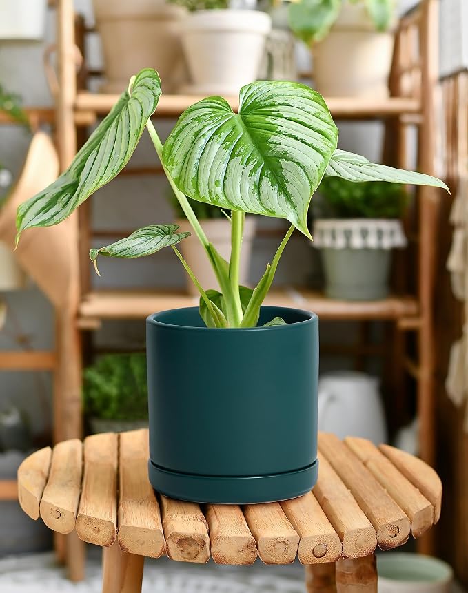D'vine Dev 6 Inch Ceramic Planter Pot with Drainage Hole and Saucer, Indoor Cylinder Round Planter Pot, Teal, 94-O-C-9