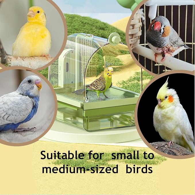 Bird Bath for Cage with Pump, Parrot Shower Bathtub Running Water (Green) | Circulating Water; Dual Filter; Spacious Parrot Shower Bathtub; For Parakeets, Cockatiels, Lovebirds; Cage & Tabletop Use