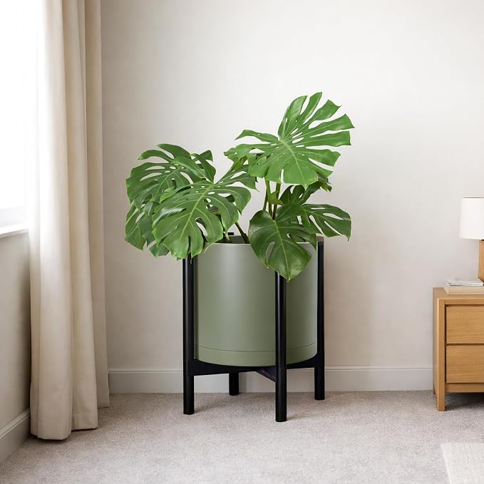D'vine Dev Planter Pot with Stand - 16 Inch Plastic Cylinder Flower Pot with Wood Planter Holder for Indoor, Olive Pot + Ebony Stand, 55-C-Z-3