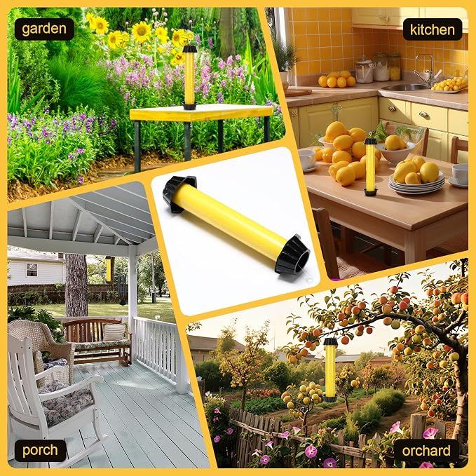 Qualirey 8 Pcs Fly Traps for Indoor Outdoor Hanging Fruit Fly Trap Sticky Mosquito for Home Insect 10 x 2.5 Inches