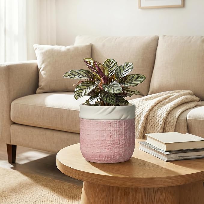 6 Inch Plant Pot - Ceramic Planter for Indoor Outdoor Plants, Round Decorative Planter with Drainage Hole and Plug, Boho Plant Pots, House Room Garden Decor, Plant Lover Gifts, Pink
