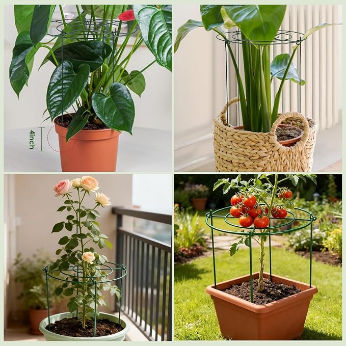 Lancisism 8 Pack Peony Cages and Supports - Heavy Duty Grow Through Metal Plant Support for Outdoor Plants - Plant Support Frame Ring for Rose Tomato Hydrangea Sage Strawberry 12" D x 16" H