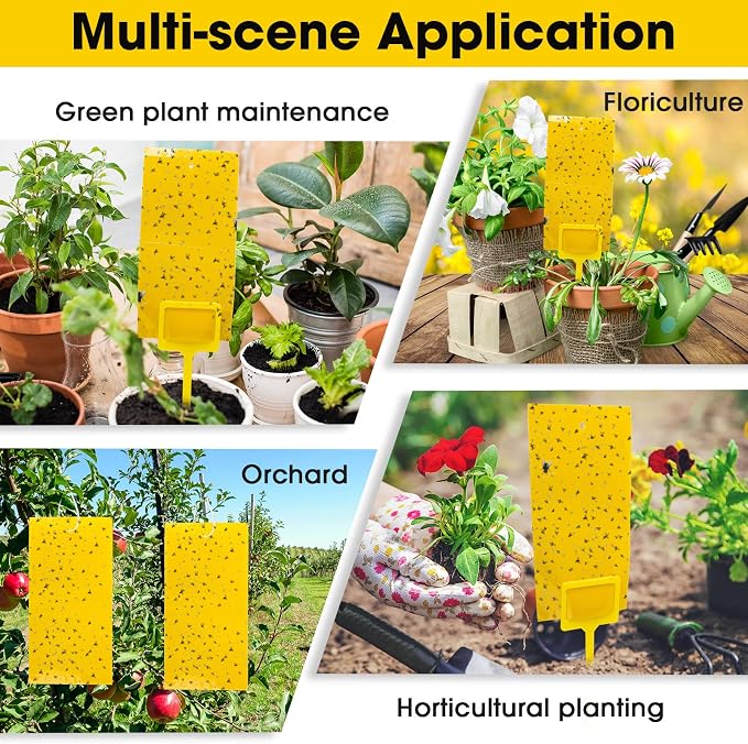 Qualirey 220 Pcs 7.9 x 4 Inch Yellow Sticky Traps for Plant Gnats Dual Sided Fruit Fly Sticky Traps for Indoors Outdoors with Twist Ties & Plastic Holders for Insect, Fungus Gnats, Whiteflies, Aphids