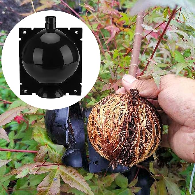 20 PCS 3.15 Inches Large Plant Root Growing Ball, Reusable Half Black Half Transparent High Pressure Propagation Ball Box with Zip Ties Rooting Ball Device for Plants Damage-Free Growing