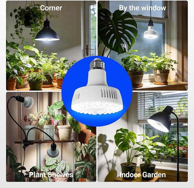 Barrina Orbgrow OG11A Grow Light Bulbs for Indoor Plants, Integrated Dimming & Timing, 5000K 33W(3 x 11W, 300 Watt Equiv), E26 Plant Light Bulb, Full Spectrum for Seeds and Greens, 3 Packs, White